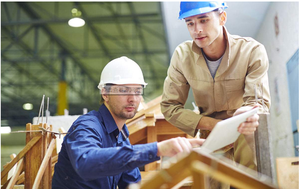 新西兰建筑木工